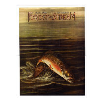 1919  Forest and Stream posters