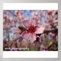 191, mrk photography posters