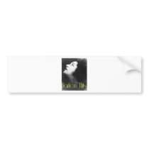 1920s4 bumper sticker