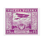 1925 15gr Polish Airmail Stamp Postcard