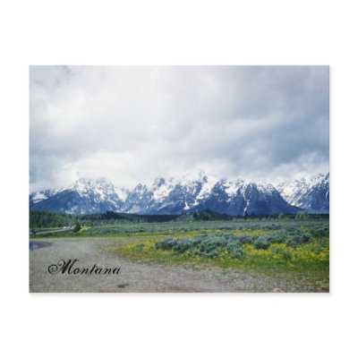 1950's Montana Hills Postcard by thephotoalbum