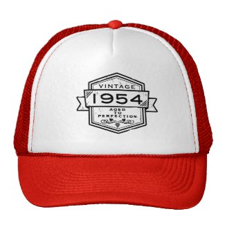 1954 Aged To Perfection Mesh Hat