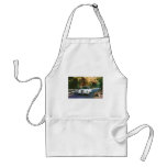 1965 Mercedes-Benz 220SEb coupe Apron