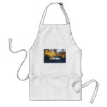 1965 Mercedes-Benz 220SEb coupe Aprons