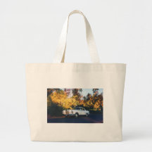 1965 Mercedes-Benz 220SEb coupe Canvas Bags