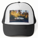 1965 Mercedes-Benz 220SEb coupe hats