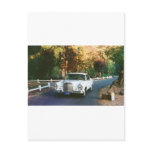 1965 Mercedes-Benz 220SEb coupe Post Cards