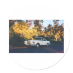 1965 Mercedes-Benz 220SEb coupe Sticker