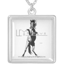 1971 Wild Free Roaming Horses & Burros Act Pendant necklaces