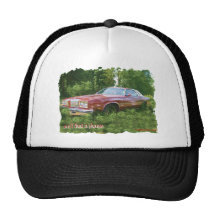 1976 Oldsmobile Cutlass Supreme Coupe. Hat