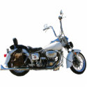 1977 Custom Shovelhead photo sculptures