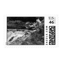 1982 Bronx Botanical Gardens NY - Stamp by dalenadubois 1982 Bronx Botanical Gardens NY - Stamp