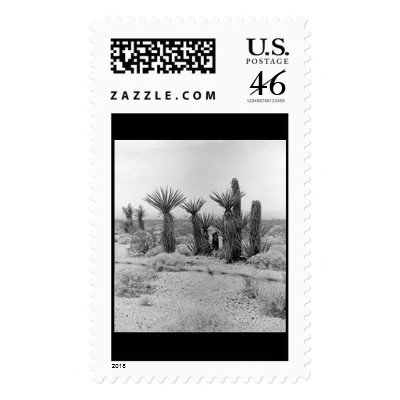 1987 Cactus #3 - Stamp by dalenadubois