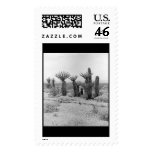 1987 Cactus #3 - Stamp