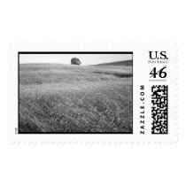1987 Rye Field - Stamp stamps