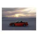 1995 Stang Convertible posters by TremmRG1 1995 Stang Convertible posters