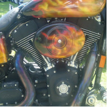 1999 FXDX SuperGlide Sport photo sculptures