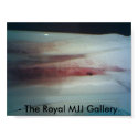 19-09-08_0929, - The Royal MJJ Gallery. posters