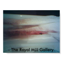19-09-08_0929, - The Royal MJJ Gallery. posters