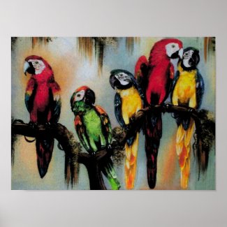 $19.95 Talking Parrots ~ Print Poster print