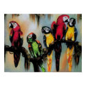 $19.95 Talking Parrots Print Poster Bird Nature print