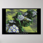.19 The Floating Purple-Yellow Flower Patch posters