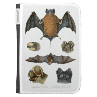 19th C. Bat Print Case For The Kindle
