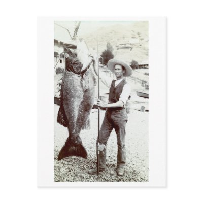 19th C. Fisherman and Goliath Grouper Postcards by historicimage