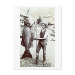 19th C. Fisherman and Goliath Grouper Postcards