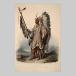 19th Century Indian Chief Reprint 36 x 24 Poster posters