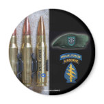 19th special forces group patch iraq magnet  vfw