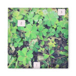 1-2-3 lucky clovers magnet
