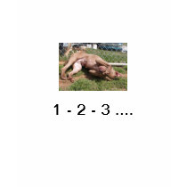 1-2-3 shirt