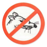 1.5" No Rat Sticker