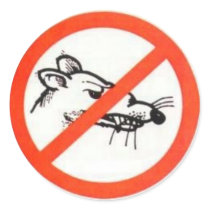 1.5" No Rat Sticker by PB2themax 1.5" No Rat Sticker