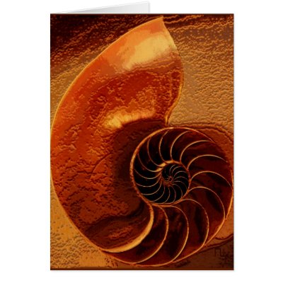 1,618 card by nefera