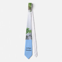 #1 Best Grandpa ties