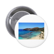 1 copy.jpg pins