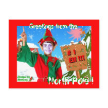# 1 Elf Greetings from the North Pole Post Card postcards
