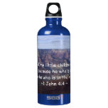 1 John 4:4 SIGG Traveler 0.6L Water Bottle