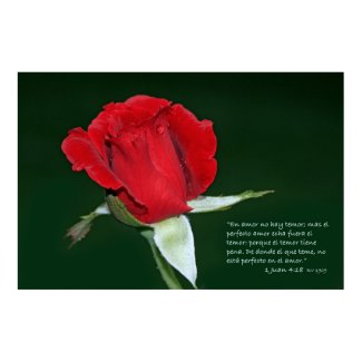 1 Juan 4:18 con Rosa Don Juan print