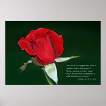 1 Juan 4:18 con Rosa Don Juan Poster