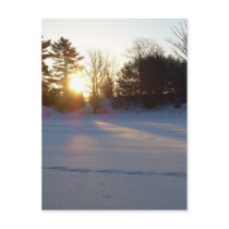 1 March 2010 postcards by NiftyMorning 1 March 2010 postcards