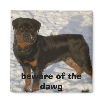 1__pgeimg2, beware of the dawg refrigerator magnets by jwm_33