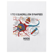1 To 5 Quadrillion Synapses Inside (Neuron) Flyers