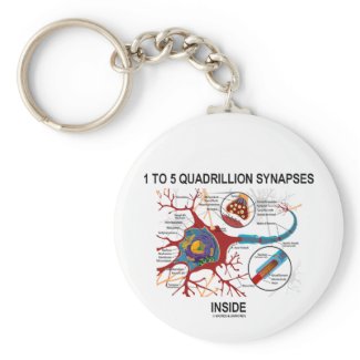 1 To 5 Quadrillion Synapses Inside (Neuron) Key Chain