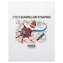 1 To 5 Quadrillion Synapses Inside (Neuron) Custom Letterhead