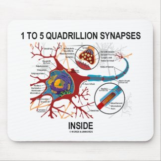 1 To 5 Quadrillion Synapses Inside (Neuron) Mouse Pad