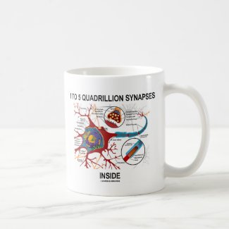 1 To 5 Quadrillion Synapses Inside (Neuron) Coffee Mug