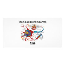 1 To 5 Quadrillion Synapses Inside (Neuron) photo cards